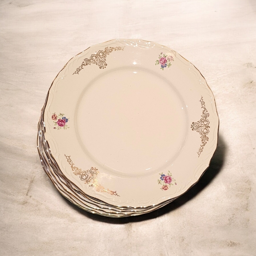 Vintage Set of 6 Dinner plates Special Production for M.E.C. #724